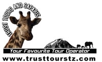 Trust Tours and Safaris