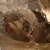 Plvlgyi-cseppkbarlang - Mesebeli szpsgek s kalandos tratvonal egyszerre