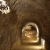 Tettyei Msztufa-barlang - A Mecsek belsejben.