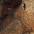 rdglyuk-barlang - A hrom kilomter hossz barlang csak vezetvel jrhat. Figyelem! Sok a denevr!