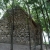 Apti templomrom - Egy romn stlus templomrom a telepls rgi kzpontjban.