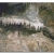 Csodabogys-barlang - Lehetsg egy igaz kalandtrra a fld alatt: szakkpzett vezetkkel abarlangi csodk nyomban