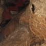 rdglyuk-barlang
